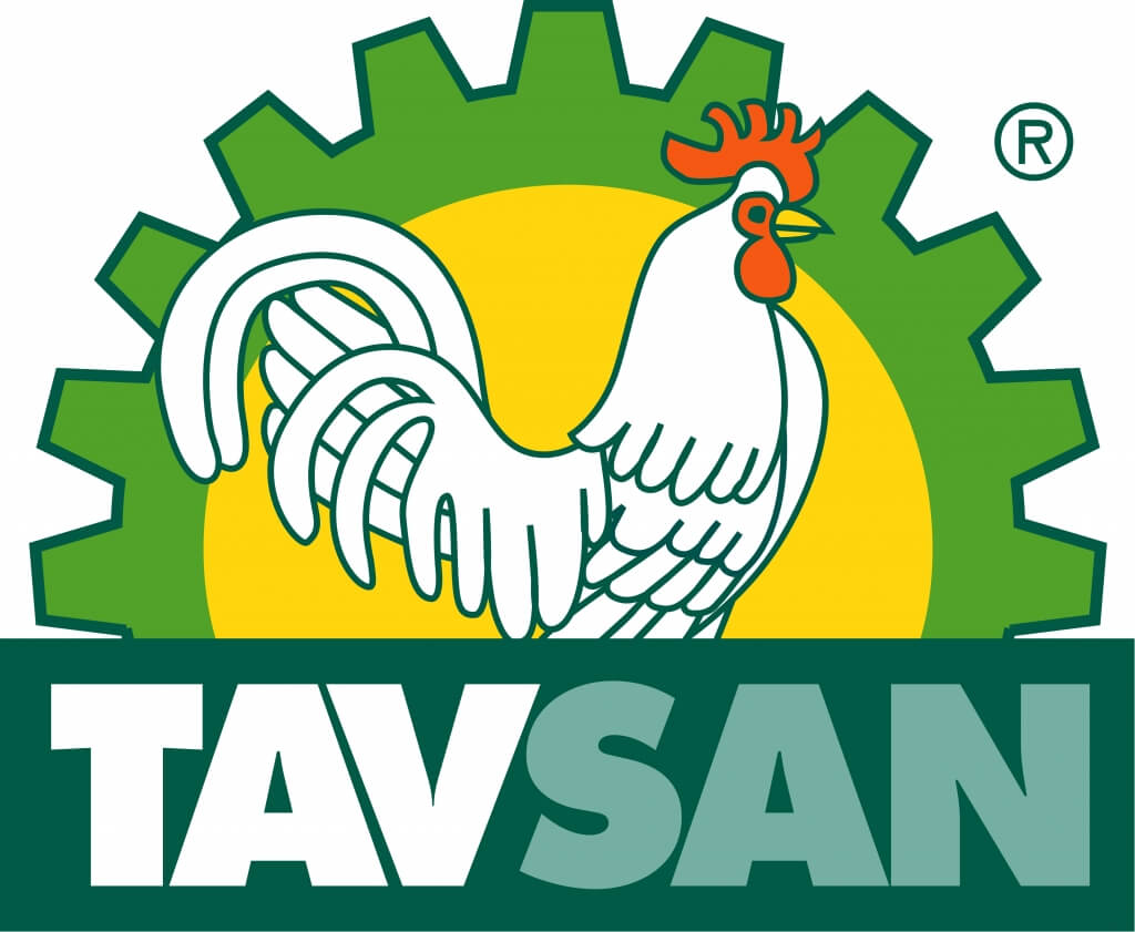 tavsan